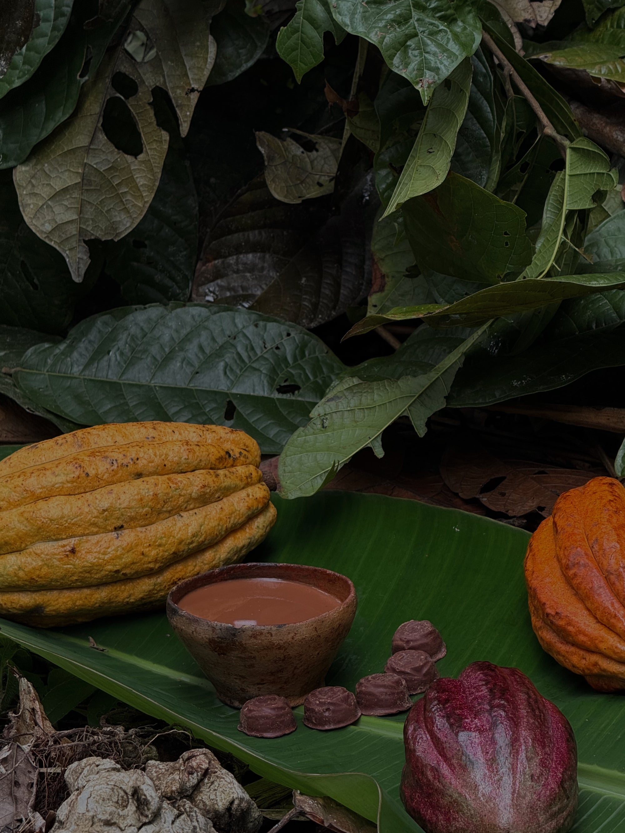The Best pure ceremonial cacao peru WANA HEY Amazon Rainforest cacao