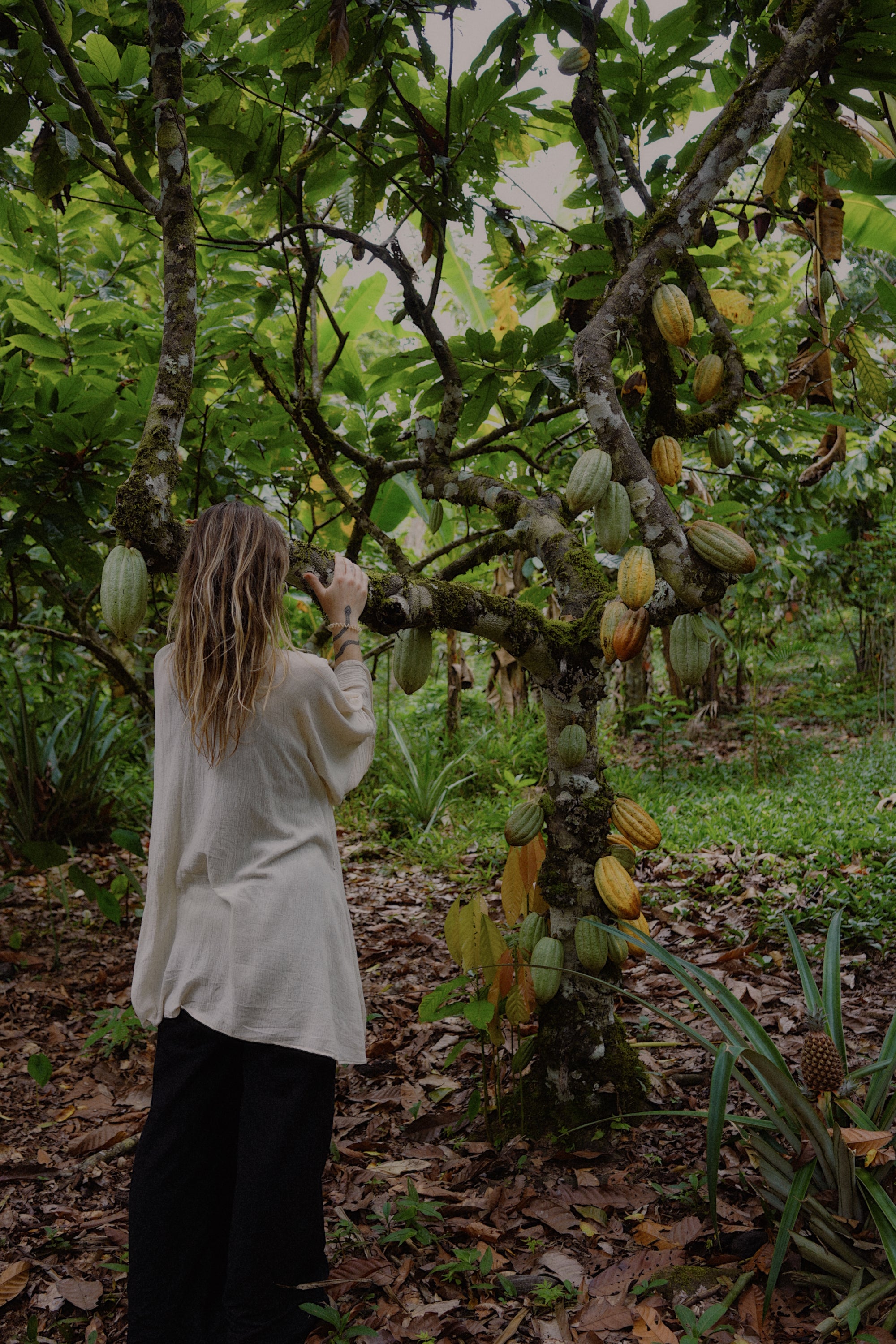 WANA HEY 100% Cacao — Amazon Rainforest Origin Ceremonial Cacao